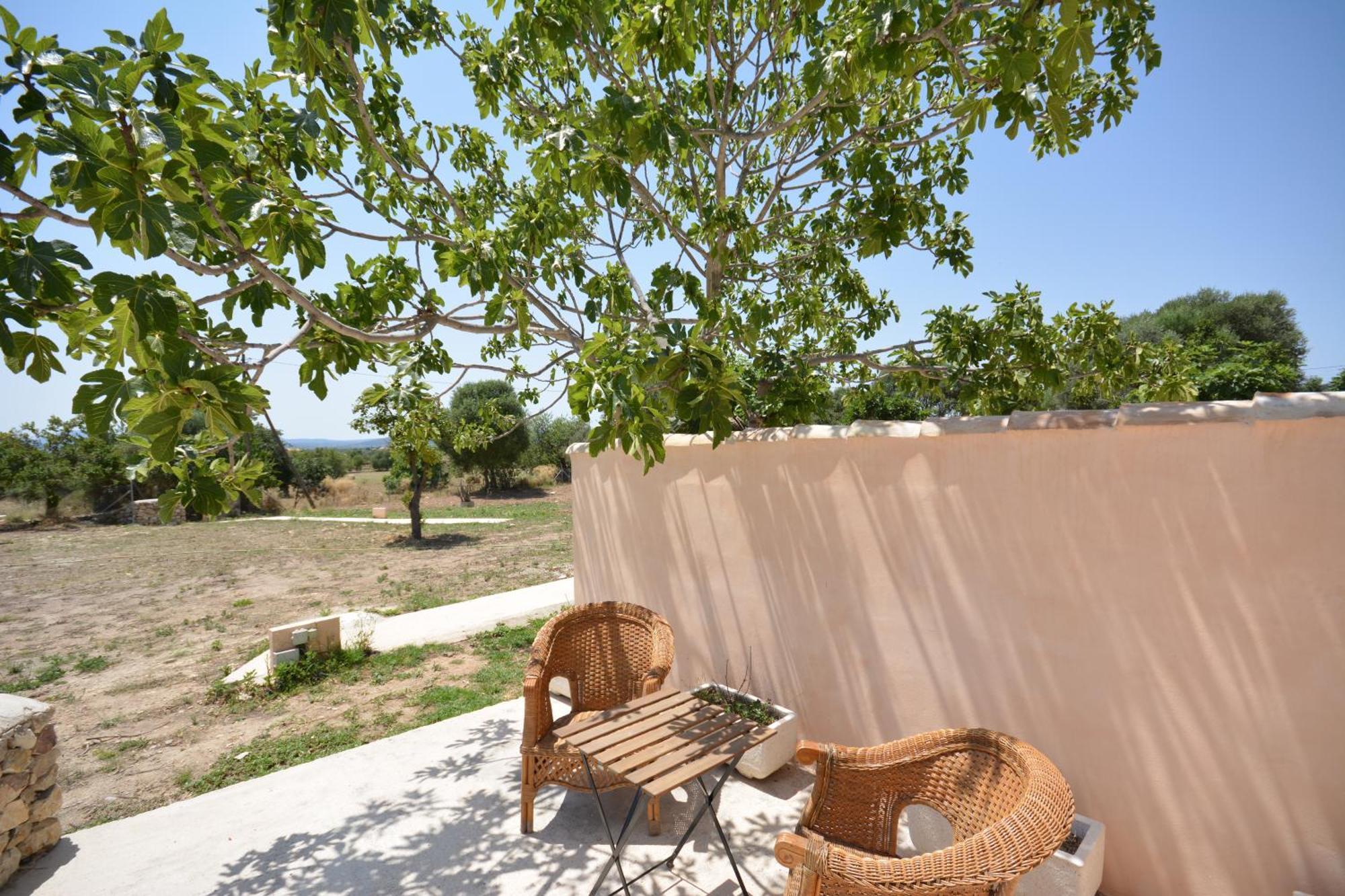 Agroturismo Finca Dalt Murada Villa Binissalem Buitenkant foto