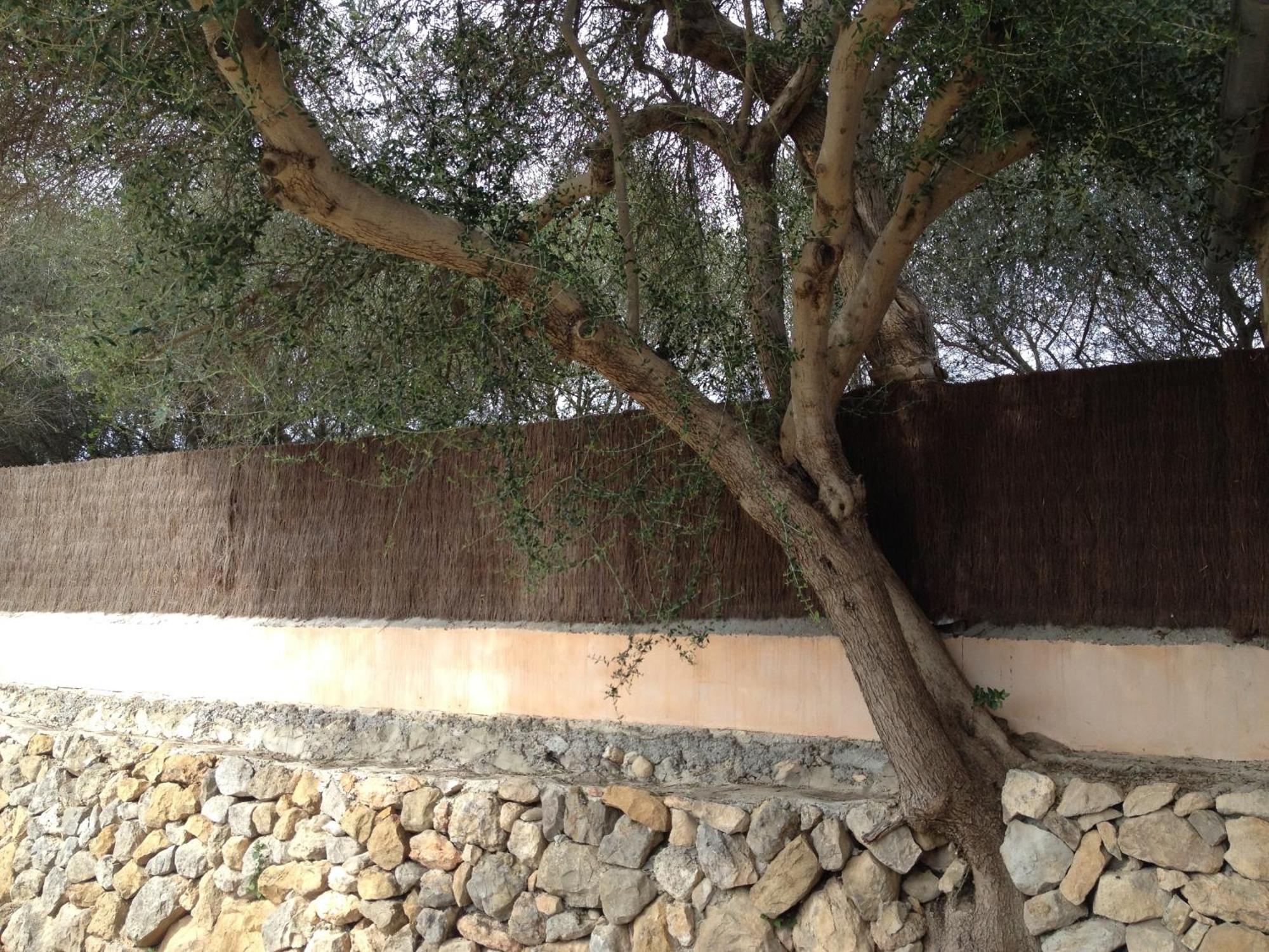 Agroturismo Finca Dalt Murada Binissalem Buitenkant foto