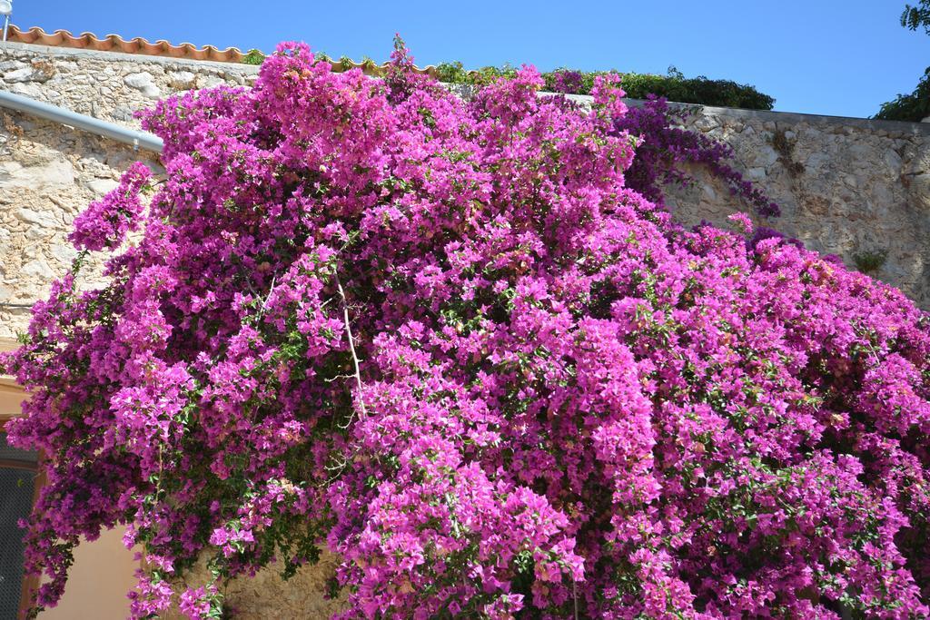 Agroturismo Finca Dalt Murada Villa Binissalem Buitenkant foto