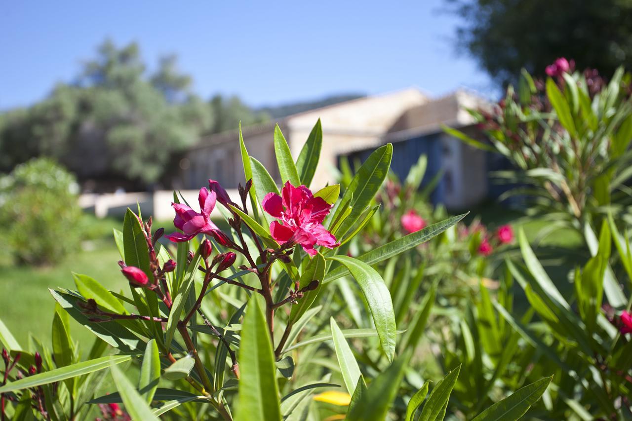 Agroturismo Finca Dalt Murada Binissalem Buitenkant foto
