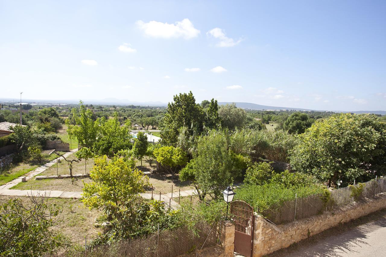 Agroturismo Finca Dalt Murada Villa Binissalem Buitenkant foto